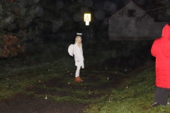ROZSVÍCENÍ STROMEČKU 6.12.2014