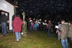 ROZSVÍCENÍ STROMEČKU 6.12.2014