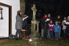 ROZSVÍCENÍ STROMEČKU 6.12.2014