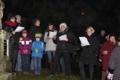 ROZSVÍCENÍ STROMEČKU 6.12.2014