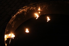 ROZSVÍCENÍ STROMEČKU 6.12.2014
