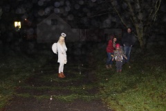 ROZSVÍCENÍ STROMEČKU 6.12.2014