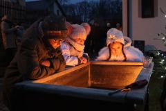 stromek_2024_102
