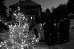 ROZSVÍCENÍ STROMEČKU neděle 4.12.2016