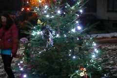 Rozsvícení stromečku v Myslotíně 8.12.2013
