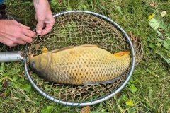 ryba_09_2025_036