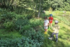 ryb_zav_2026_045