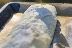 ryb_zav_2026_048