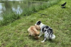 ryb_den_24_5_2025_024