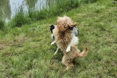 ryb_den_24_5_2025_025