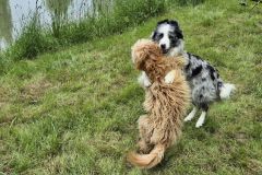 ryb_den_24_5_2025_026