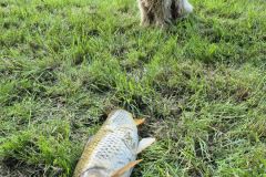 ryb_den_24_5_2025_057