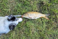 ryb_den_24_5_2025_059