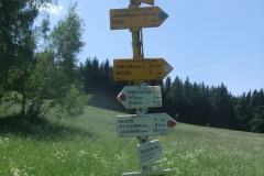 Rychlebky 6-2014
