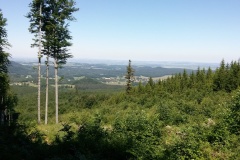 Rychlebky 6-2014
