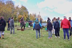 sazeni_24_10_2021_007