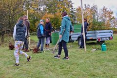 sazeni_24_10_2021_009