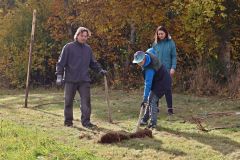 sazeni_24_10_2021_024