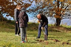 sazeni_24_10_2021_026