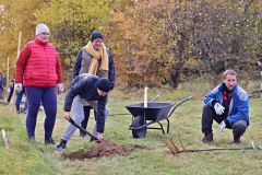 sazeni_24_10_2021_039