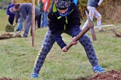 sazeni_24_10_2021_044