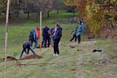 sazeni_24_10_2021_050
