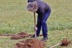 sazeni_24_10_2021_067