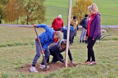 sazeni_24_10_2021_068