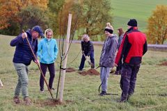 sazeni_24_10_2021_071