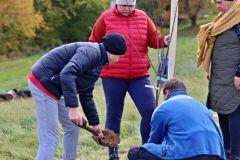 sazeni_24_10_2021_076