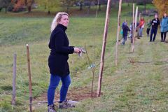 sazeni_24_10_2021_091