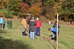 sazeni_24_10_2021_104