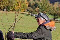 sazeni_24_10_2021_110