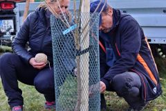 sazeni_24_10_2021_113
