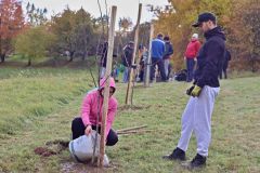 sazeni_24_10_2021_116