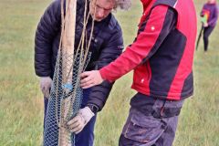 sazeni_24_10_2021_121