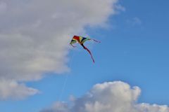 sazeni_24_10_2021_124