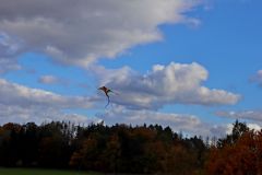 sazeni_24_10_2021_136