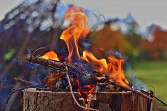 sazeni_24_10_2021_138