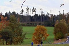 sazeni_24_10_2021_141