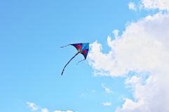 sazeni_24_10_2021_142