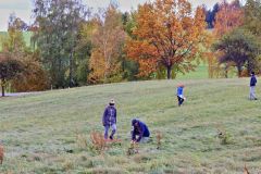 sazeni_24_10_2021_143