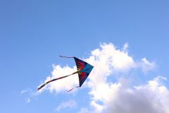 sazeni_24_10_2021_145