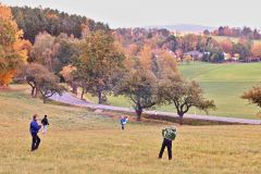 sazeni_24_10_2021_150