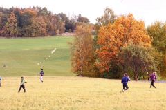sazeni_24_10_2021_154