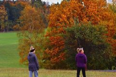 sazeni_24_10_2021_159