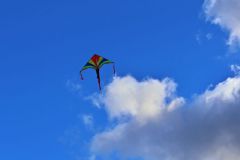 sazeni_24_10_2021_162