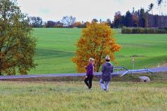 sazeni_24_10_2021_163