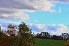 sazeni_24_10_2021_164
