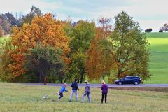 sazeni_24_10_2021_165